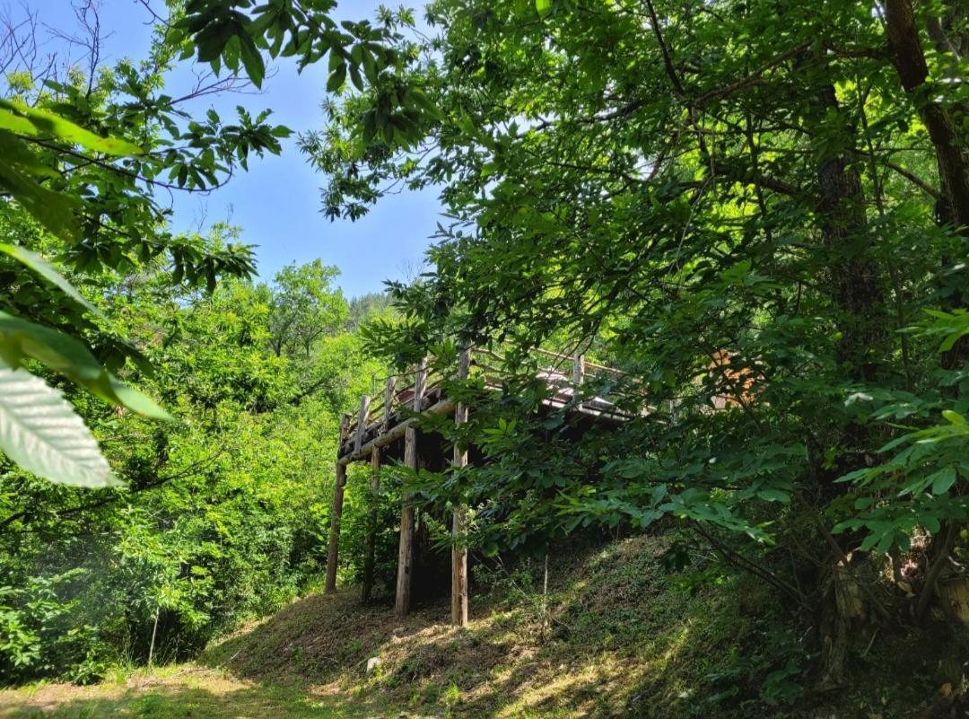 Loz'Aire Naturelle Quezac  エクステリア 写真